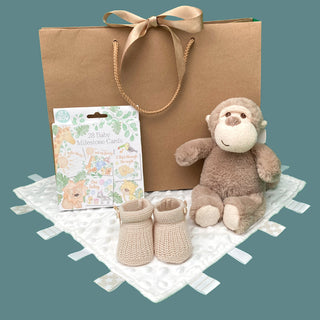 New Baby Gift Set & Gift Bag - Marcel Monkey - BLOSSOM & MOON