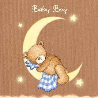 New Baby Boy card - BLOSSOM AND MOON